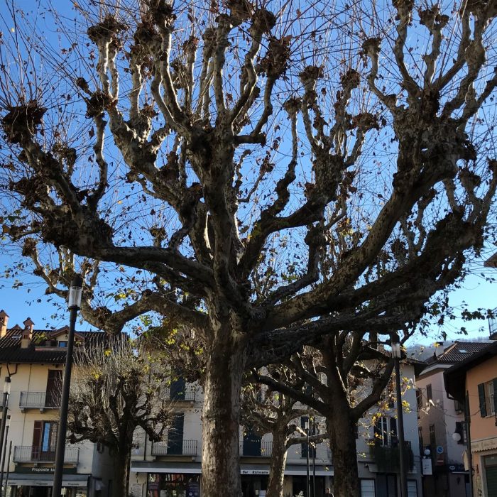 stresa-07